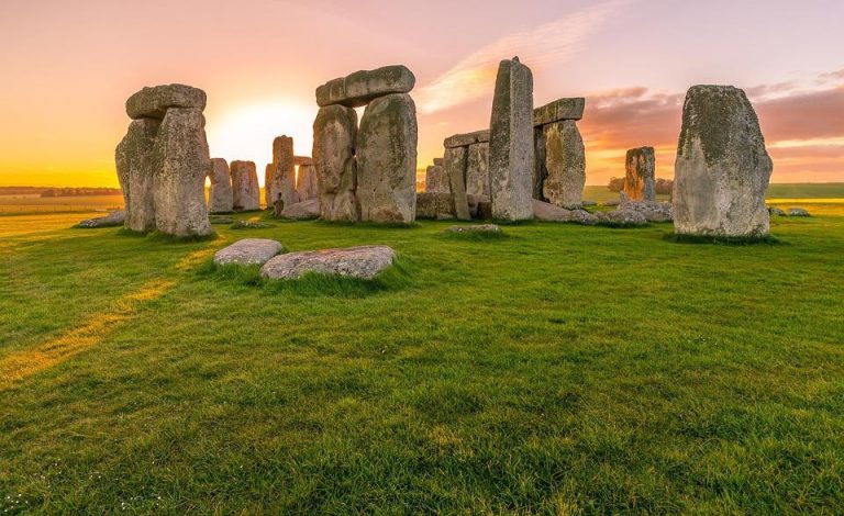 Preservation and Conservation: What’s the Difference? (A Brief Rundown ...