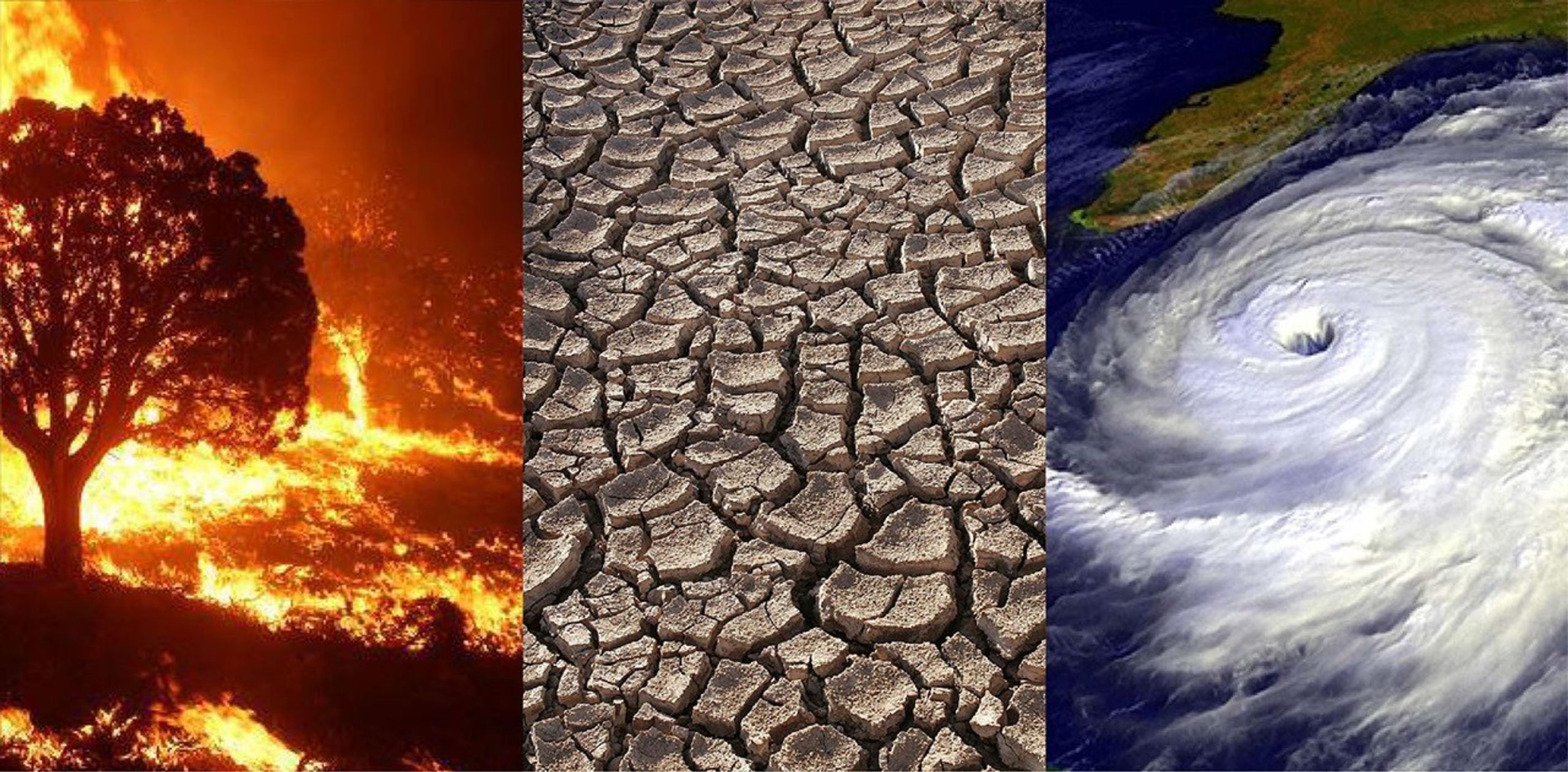 Climate Change and Its Global Impact