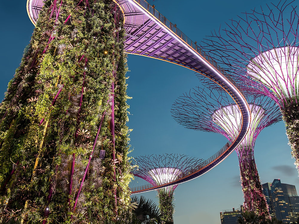 Singapore Smart City Transformation