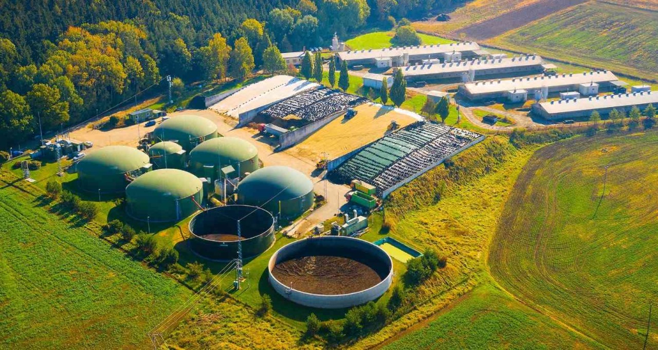 Biomass and Waste-to-Energy Innovations