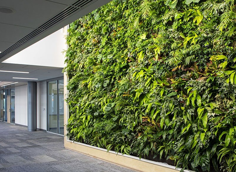 Green Roofs and Living Walls