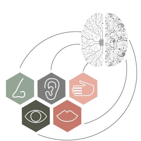 neuroaesthetics and environmental psychology