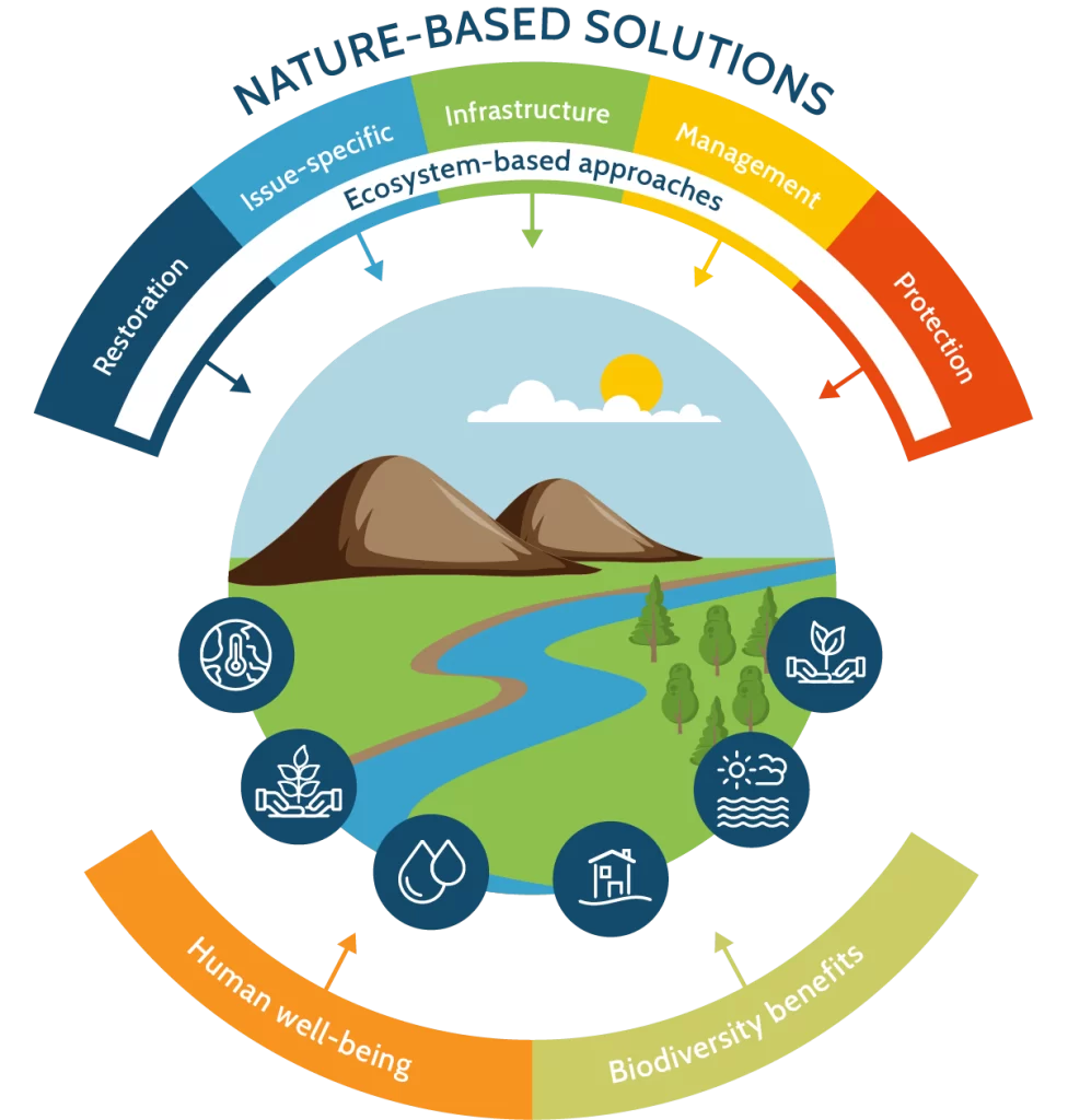 nature-based-solutions