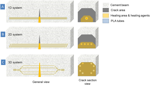 Vascular network system in concrete enabling continuous self-healing of cracks.