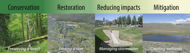 Biogeographical Complexities of Restoring Arid Ecosystems